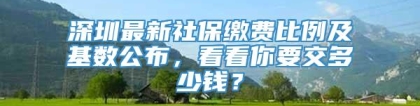 深圳最新社保缴费比例及基数公布，看看你要交多少钱？