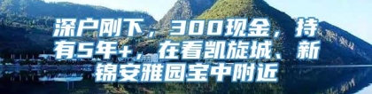 深户刚下，300现金，持有5年+，在看凯旋城、新锦安雅园宝中附近