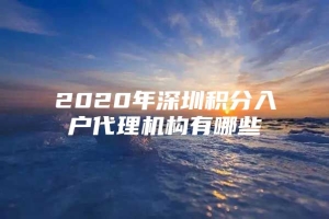 2020年深圳积分入户代理机构有哪些