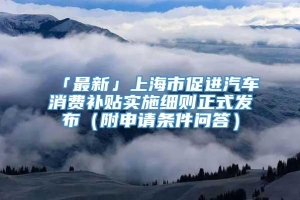 「最新」上海市促进汽车消费补贴实施细则正式发布（附申请条件问答）