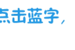 【储备计划】上海市嘉定区2022年优秀大学毕业生储备计划工作回顾