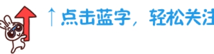 【储备计划】上海市嘉定区2022年优秀大学毕业生储备计划工作回顾