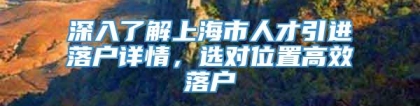 深入了解上海市人才引进落户详情，选对位置高效落户