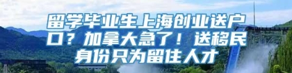 留学毕业生上海创业送户口？加拿大急了！送移民身份只为留住人才