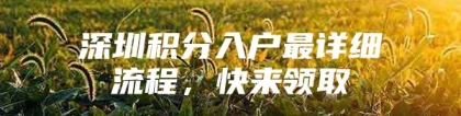 深圳积分入户最详细流程，快来领取