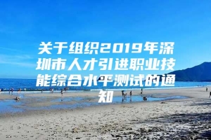 关于组织2019年深圳市人才引进职业技能综合水平测试的通知