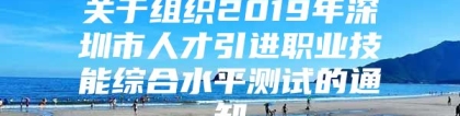 关于组织2019年深圳市人才引进职业技能综合水平测试的通知