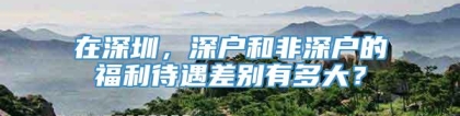 在深圳，深户和非深户的福利待遇差别有多大？