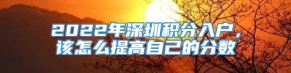 2022年深圳积分入户，该怎么提高自己的分数