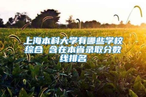 上海本科大学有哪些学校综合 含在本省录取分数线排名