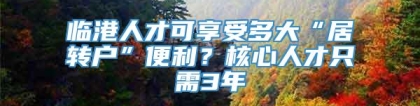 临港人才可享受多大“居转户”便利？核心人才只需3年