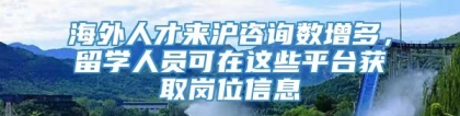 海外人才来沪咨询数增多，留学人员可在这些平台获取岗位信息