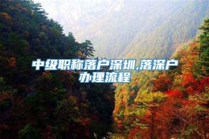 中级职称落户深圳,落深户办理流程