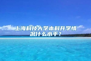 上海科技大学本科升学情况什么水平？