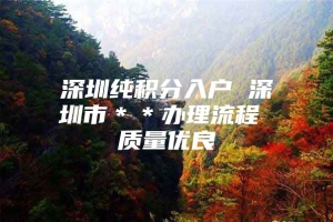 深圳纯积分入户 深圳市＊＊办理流程 质量优良