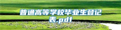 普通高等学校毕业生登记表.pdf