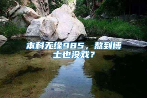 本科无缘985，熬到博士也没戏？