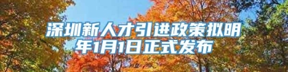 深圳新人才引进政策拟明年1月1日正式发布