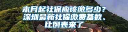 本月起社保应该缴多少？深圳最新社保缴费基数、比例表来了