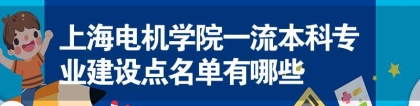 上海电机学院一流本科专业建设点名单有哪些