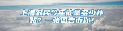 上海农民今年能拿多少补贴？一张图告诉你！