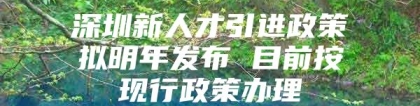 深圳新人才引进政策拟明年发布 目前按现行政策办理