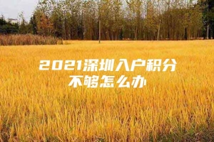 2021深圳入户积分不够怎么办