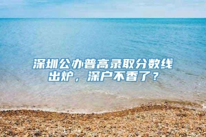 深圳公办普高录取分数线出炉，深户不香了？