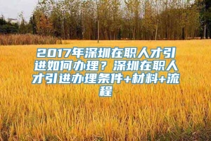 2017年深圳在职人才引进如何办理？深圳在职人才引进办理条件+材料+流程