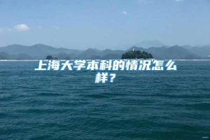 上海大学本科的情况怎么样？