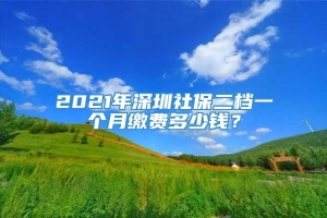 2021年深圳社保二档一个月缴费多少钱？