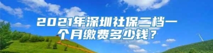 2021年深圳社保二档一个月缴费多少钱？