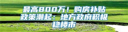 最高800万！购房补贴政策潮起：地方政府积极稳楼市