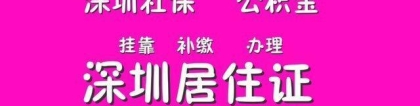 2022年深圳市户口积分入户测评