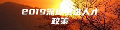 2019深圳引进人才政策