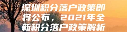 深圳积分落户政策即将公布，2021年全新积分落户政策解析