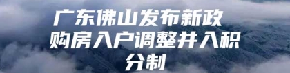 广东佛山发布新政 购房入户调整并入积分制