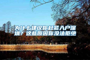 为什么建议你赶紧入户深圳？这些原因你没法拒绝