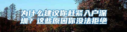 为什么建议你赶紧入户深圳？这些原因你没法拒绝