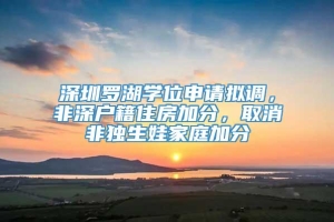 深圳罗湖学位申请拟调，非深户籍住房加分，取消非独生娃家庭加分