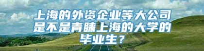 上海的外资企业等大公司是不是青睐上海的大学的毕业生？