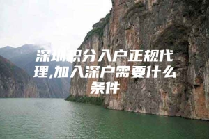 深圳积分入户正规代理,加入深户需要什么条件