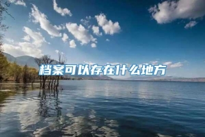 档案可以存在什么地方