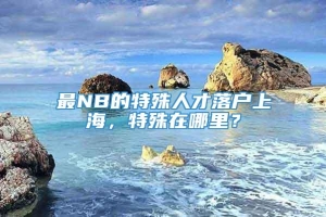 最NB的特殊人才落户上海，特殊在哪里？