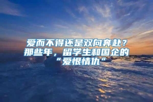 爱而不得还是双向奔赴？那些年，留学生和国企的“爱恨情仇”