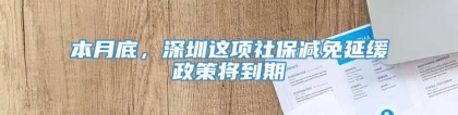 本月底，深圳这项社保减免延缓政策将到期