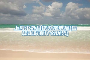 上海中外合作办学申报(国际本科有什么优势)