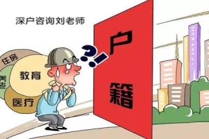 2022年深圳市人才引进实施办法的相关政策