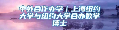 中外合作办学｜上海纽约大学与纽约大学合办数学博士