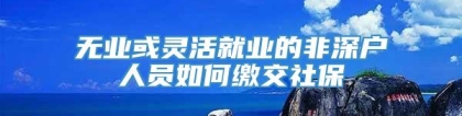 无业或灵活就业的非深户人员如何缴交社保